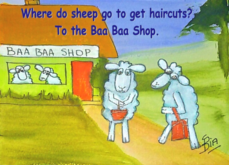 baa baa shop cartoon