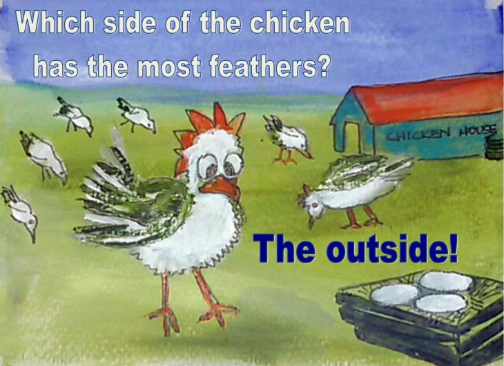 chicken feathers cartoon